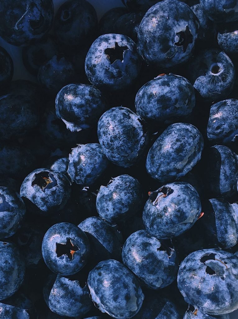 Bilberries, Vaccinium Myrtillus, the original super berry full of anti oxidants