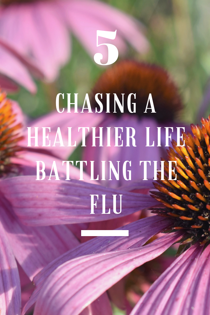 echinacea and battling the flu