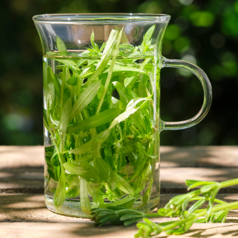 Clivers: Medicinal and Spiritual Uses