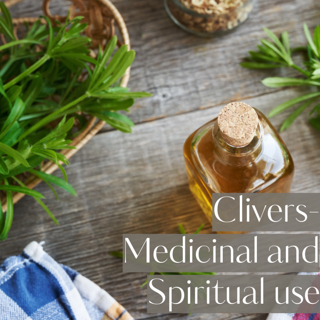 Clivers: Medicinal and Spiritual Uses