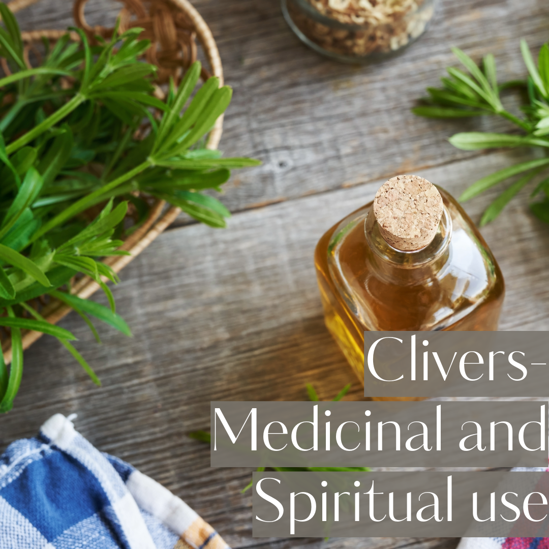 Clivers - a popular herb that can be used both medicinally and spiritually. a trulu magical herb