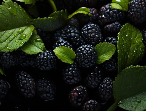 Blackberries