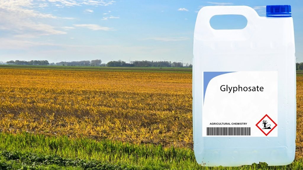 A can of glyphosate shown over a field where it has been used